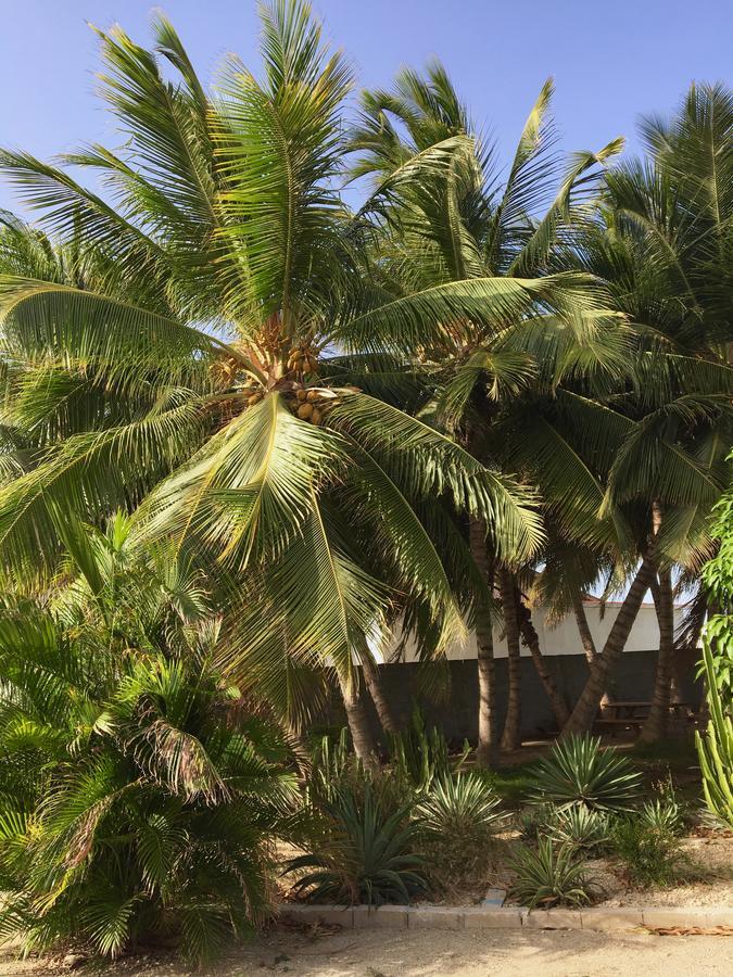 Bubali Gardens Palm Beach Exterior foto